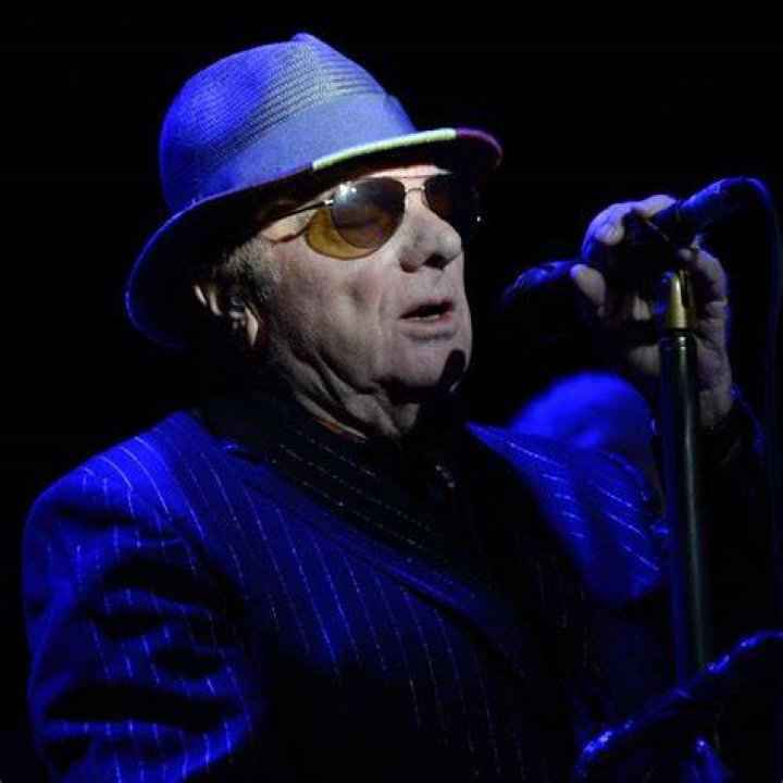 Image result for van morrison Van morrison, Morrison, Van