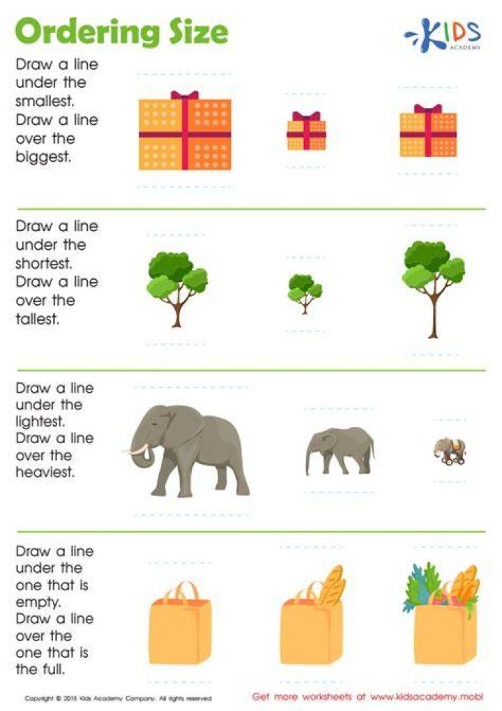 Order By Size Worksheet