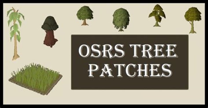 Osrs Farming Trees Tree Patch Locations Hot Sex Picture